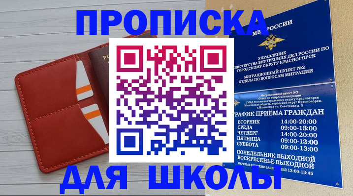 временная регистрация для всех в Павловске